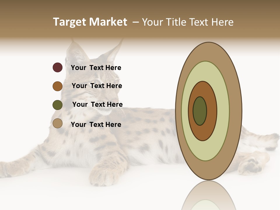 Resting Rest Attentive PowerPoint Template