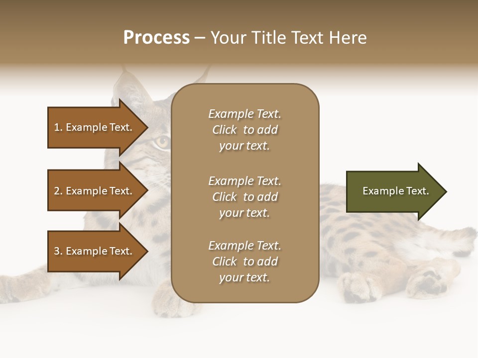 Resting Rest Attentive PowerPoint Template