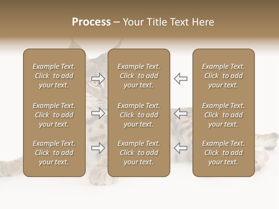 Resting Rest Attentive PowerPoint Template
