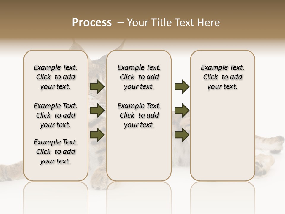 Resting Rest Attentive PowerPoint Template