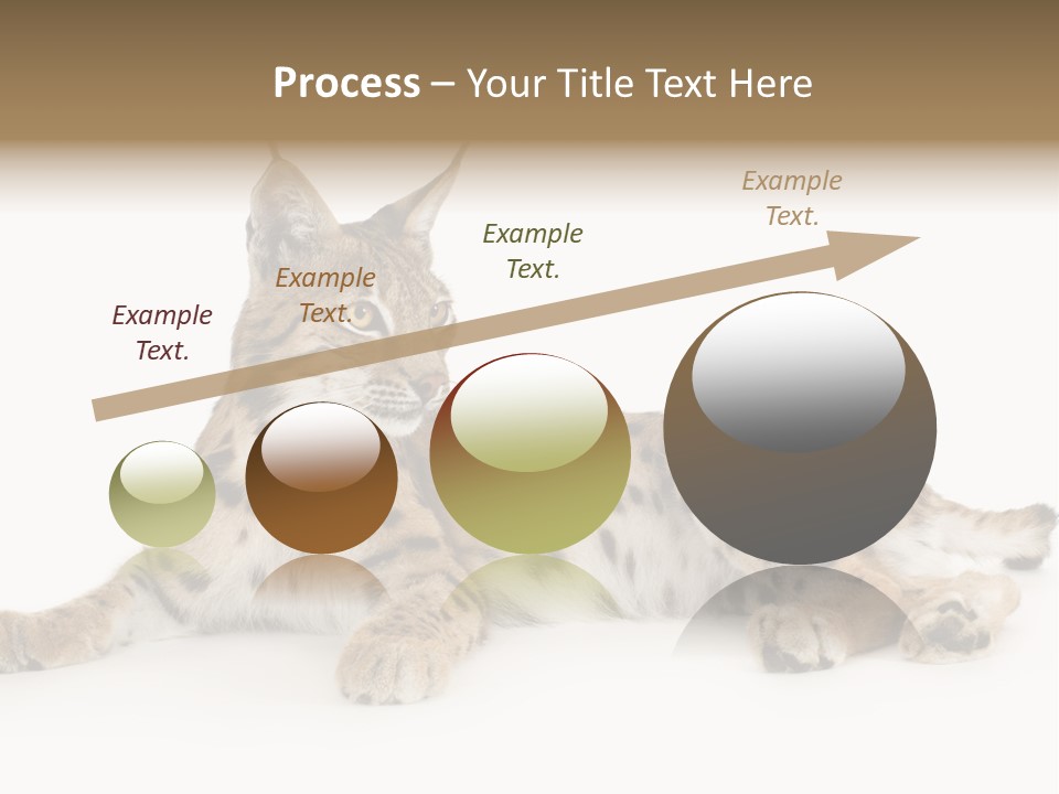 Resting Rest Attentive PowerPoint Template