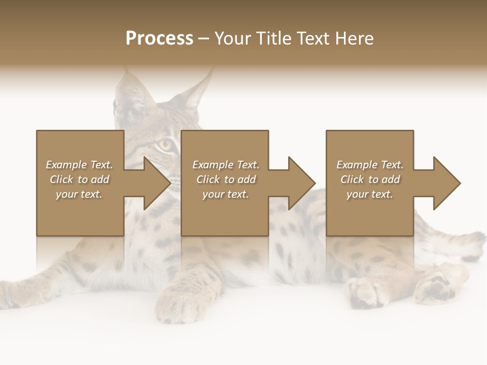 Resting Rest Attentive PowerPoint Template