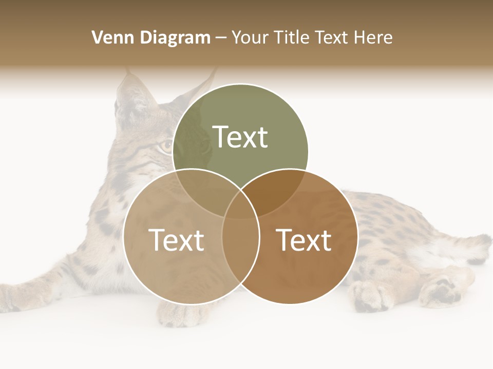 Resting Rest Attentive PowerPoint Template