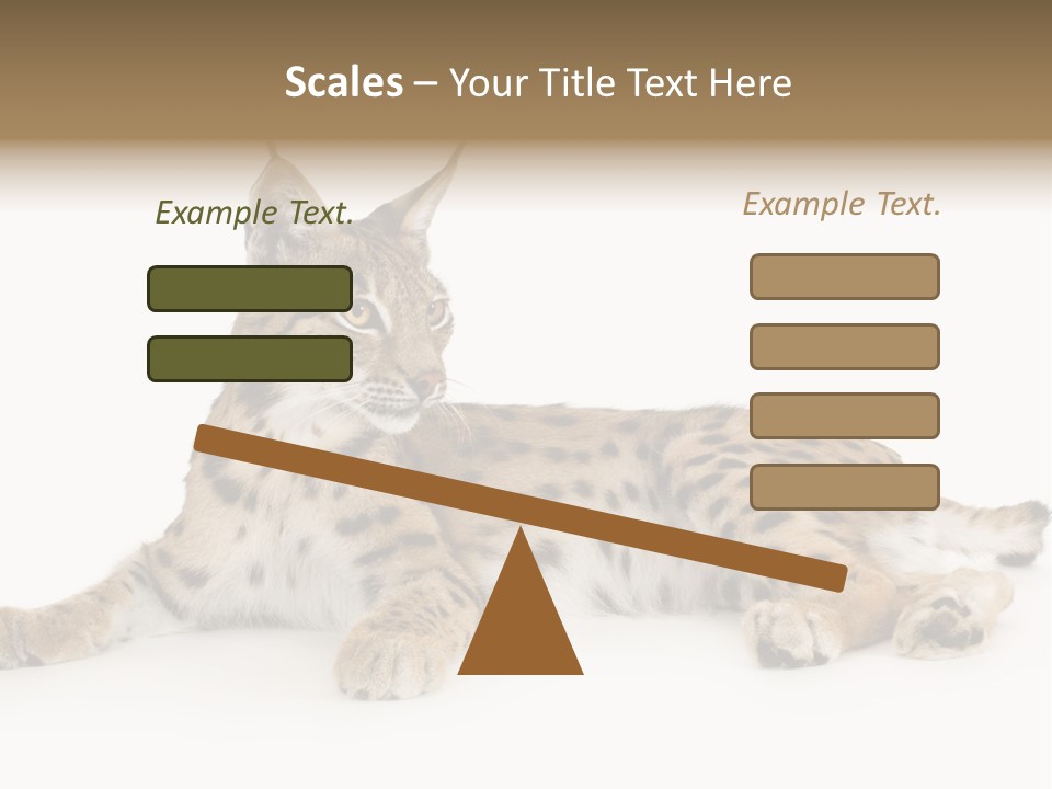 Resting Rest Attentive PowerPoint Template