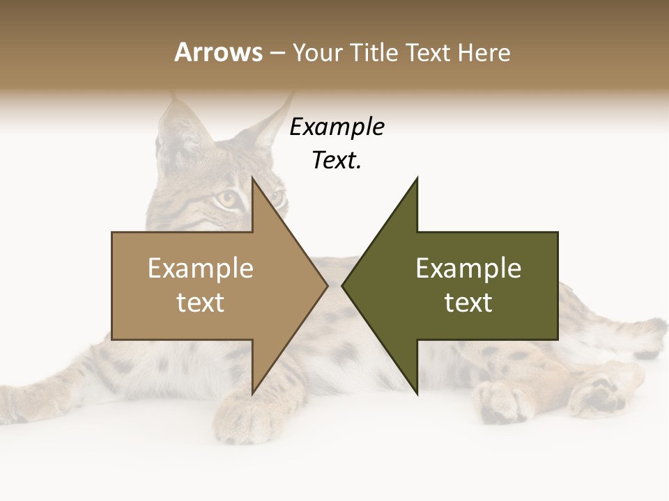 Resting Rest Attentive PowerPoint Template