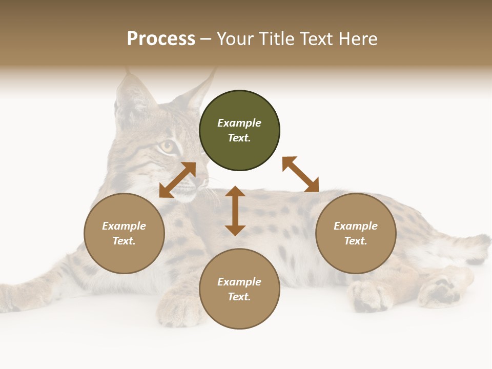 Resting Rest Attentive PowerPoint Template