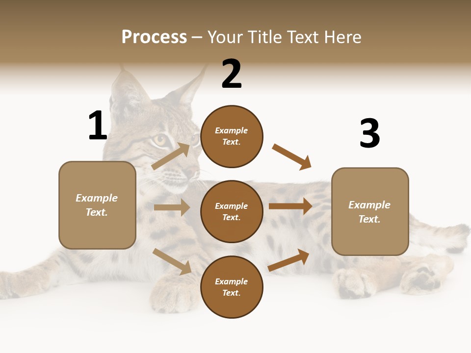 Resting Rest Attentive PowerPoint Template