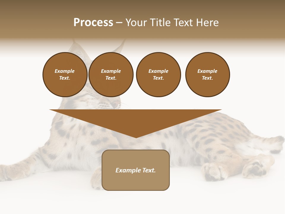 Resting Rest Attentive PowerPoint Template