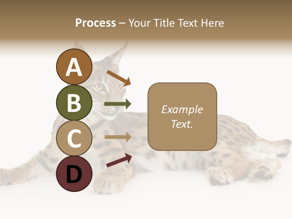 Resting Rest Attentive PowerPoint Template