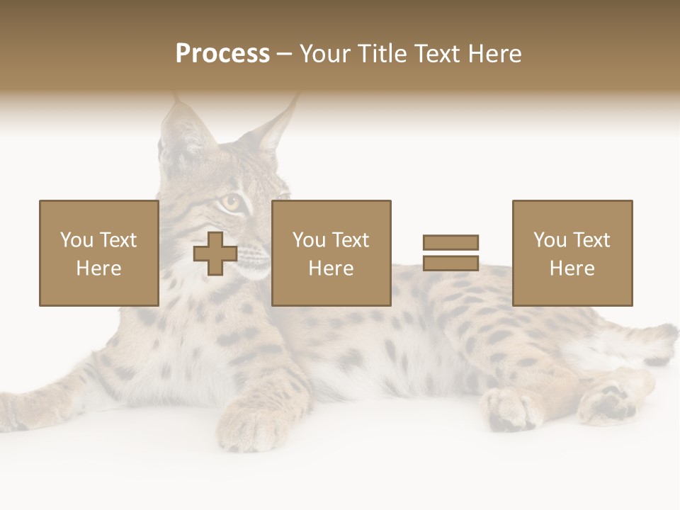Resting Rest Attentive PowerPoint Template