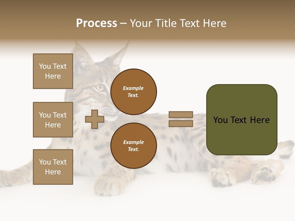 Resting Rest Attentive PowerPoint Template