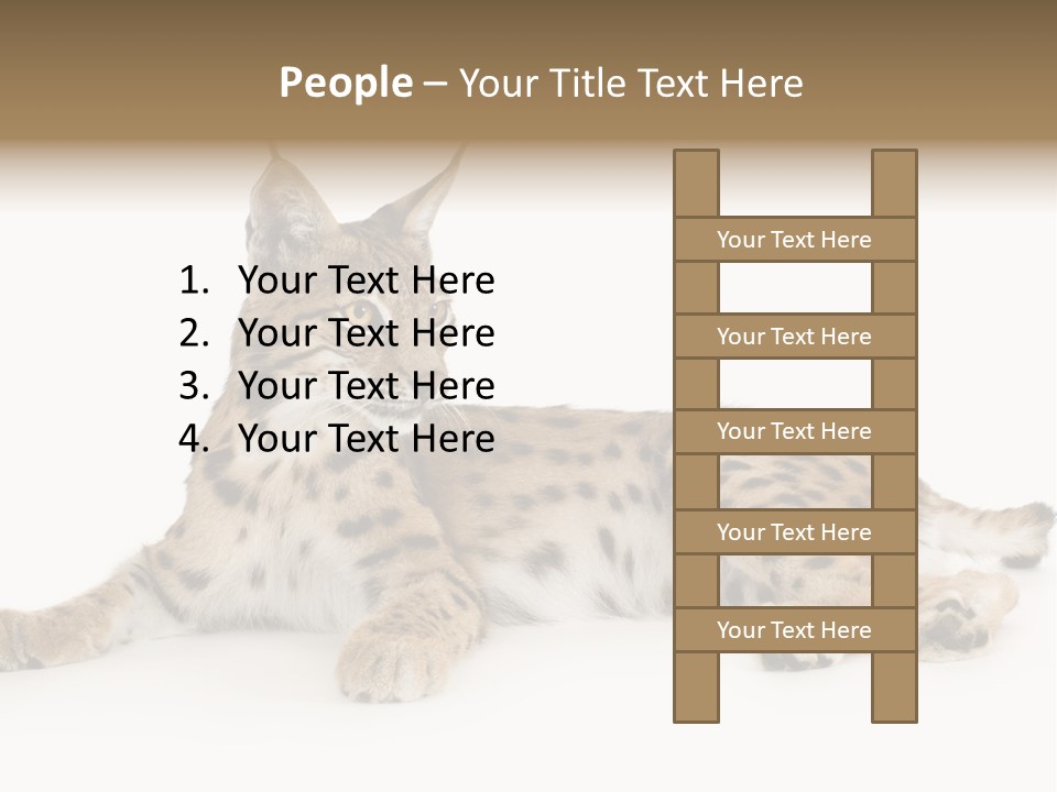Resting Rest Attentive PowerPoint Template