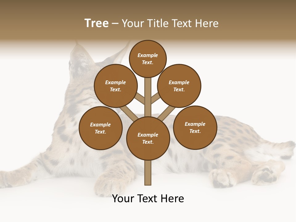 Resting Rest Attentive PowerPoint Template