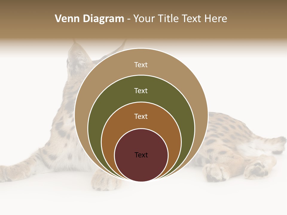 Resting Rest Attentive PowerPoint Template