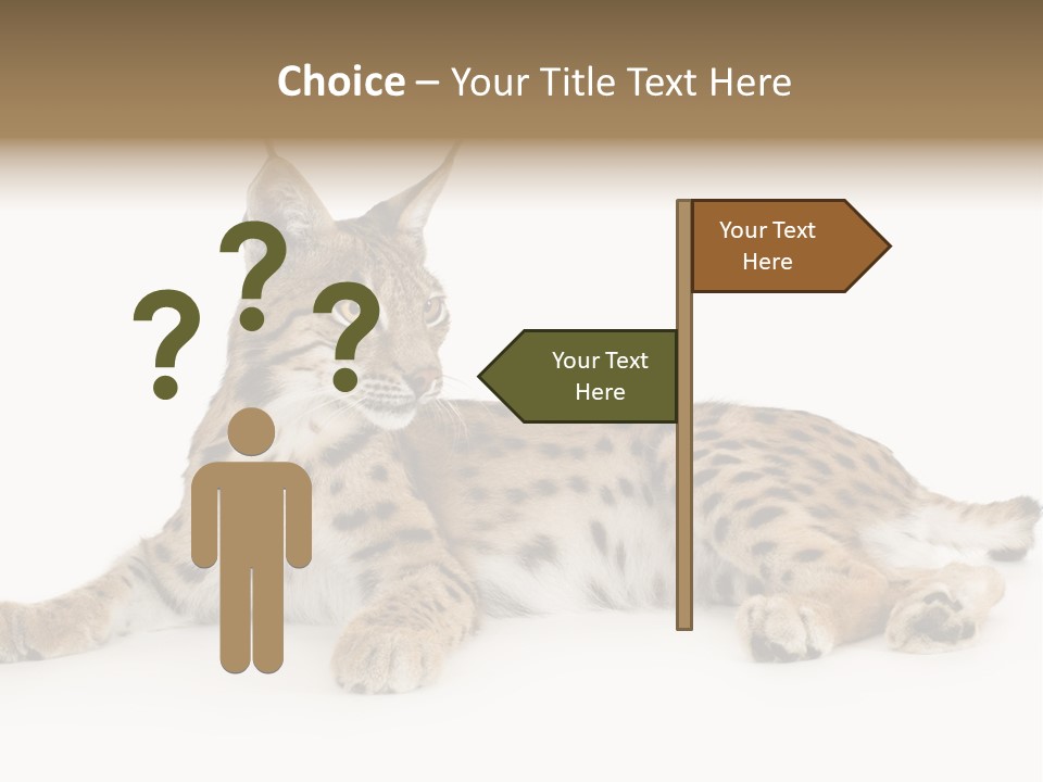 Resting Rest Attentive PowerPoint Template