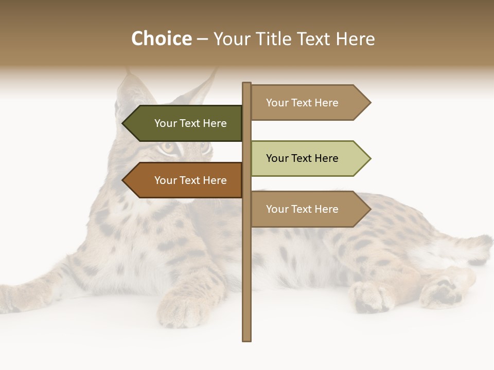 Resting Rest Attentive PowerPoint Template