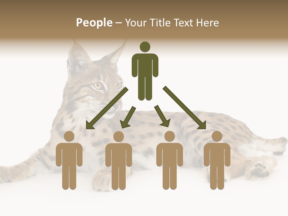 Resting Rest Attentive PowerPoint Template