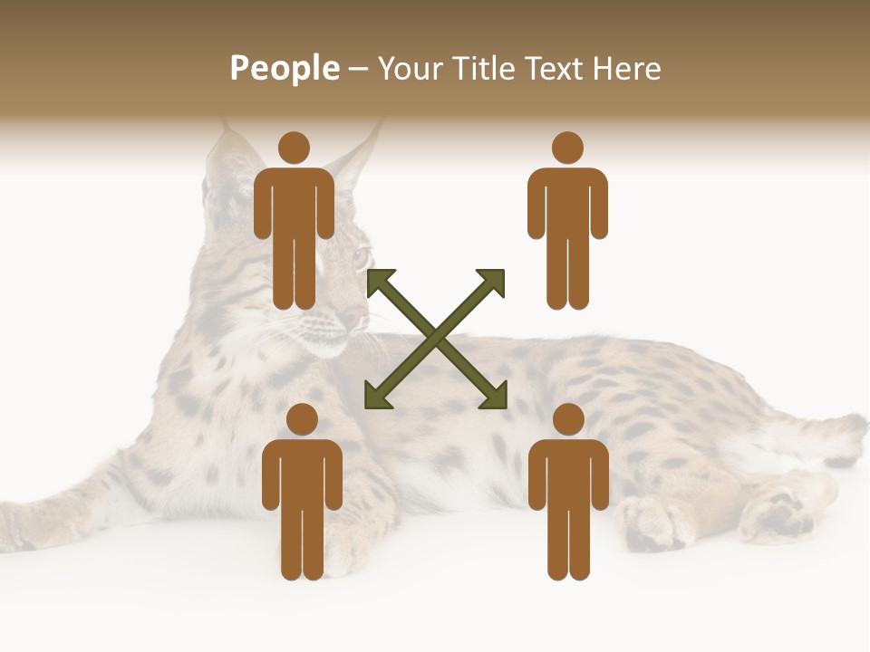 Resting Rest Attentive PowerPoint Template