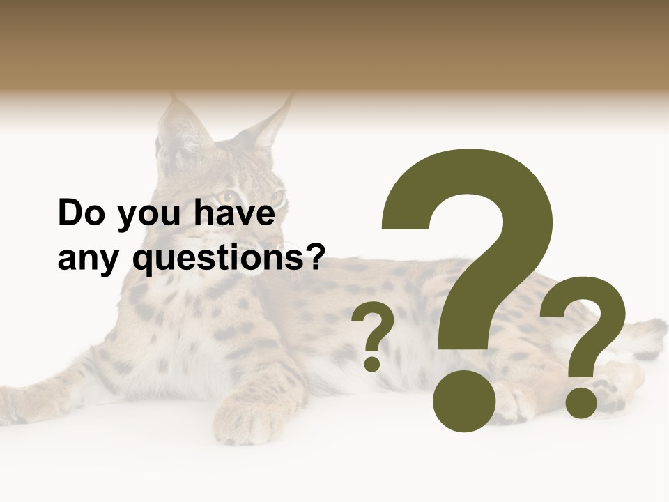 Resting Rest Attentive PowerPoint Template