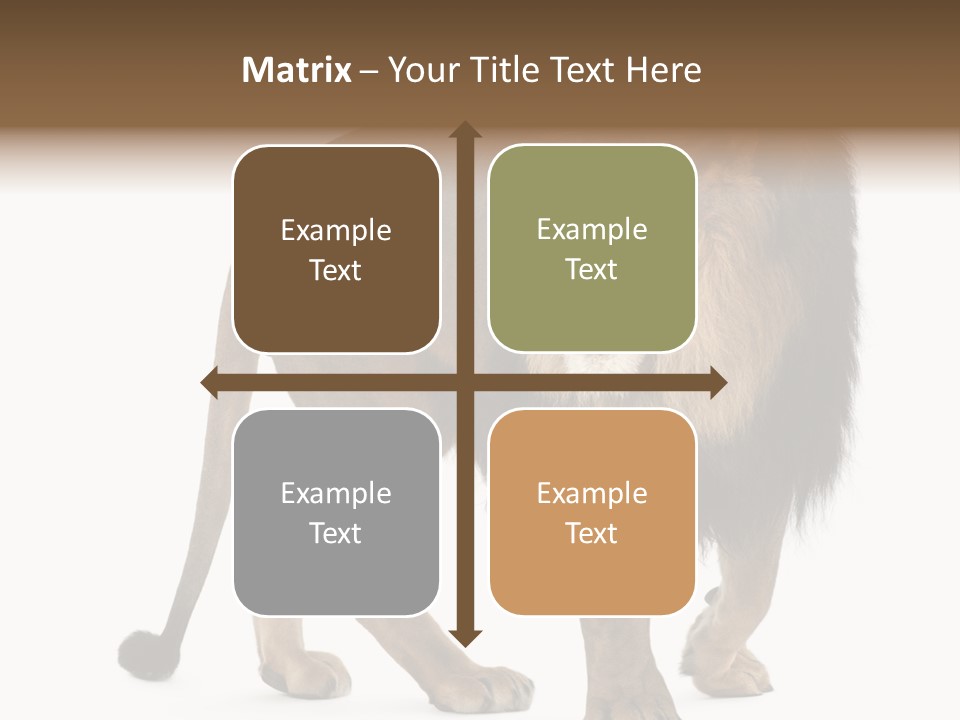 Animal Indoors One Animal PowerPoint Template