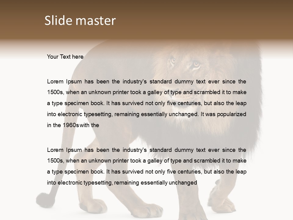 Animal Indoors One Animal PowerPoint Template