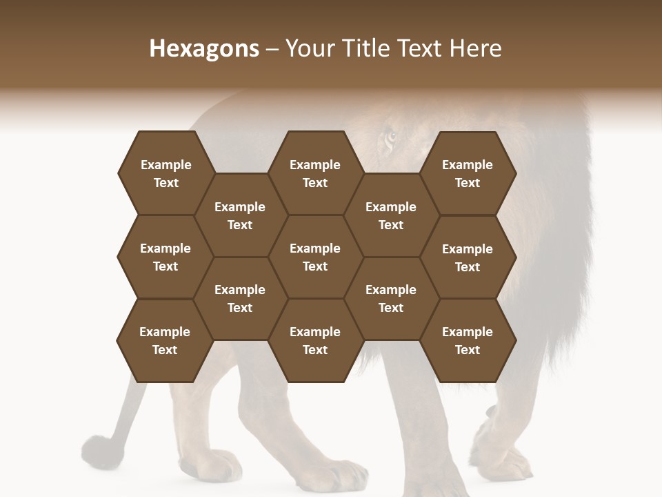 Animal Indoors One Animal PowerPoint Template
