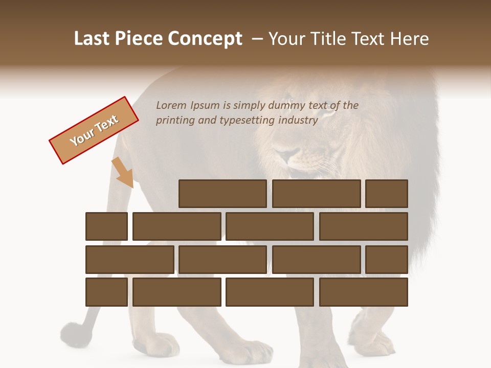 Animal Indoors One Animal PowerPoint Template