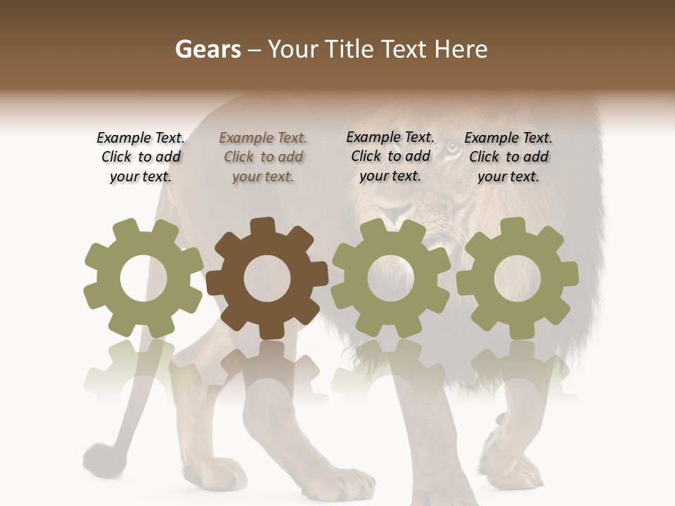 Animal Indoors One Animal PowerPoint Template