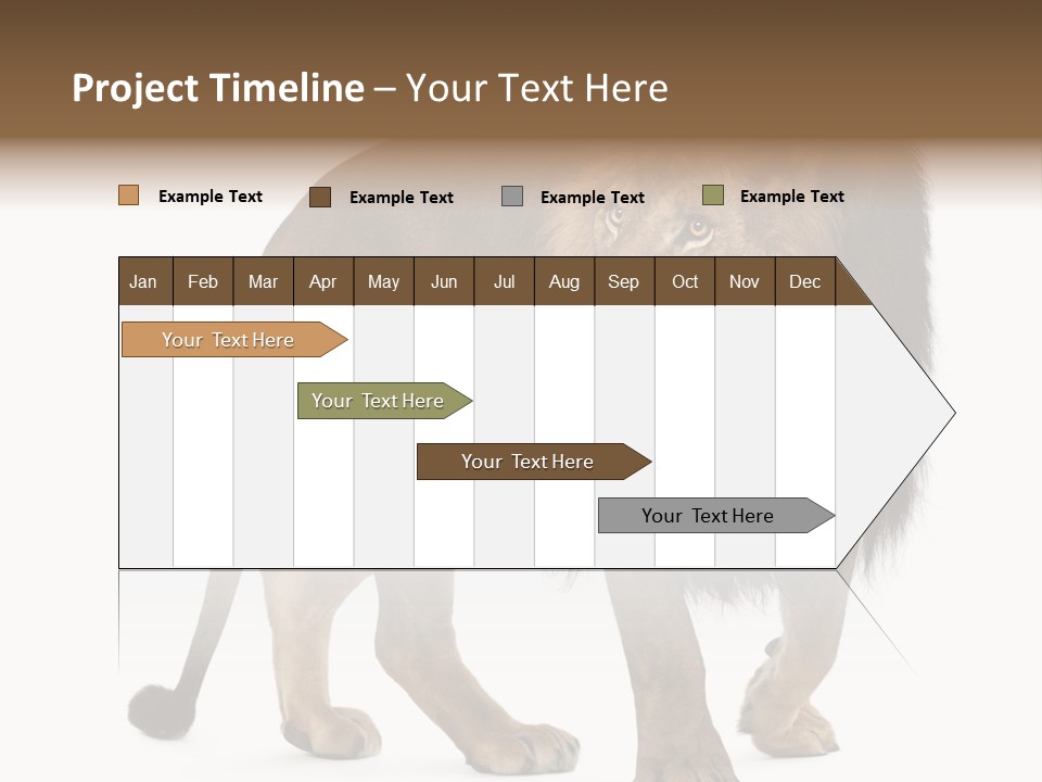 Animal Indoors One Animal PowerPoint Template