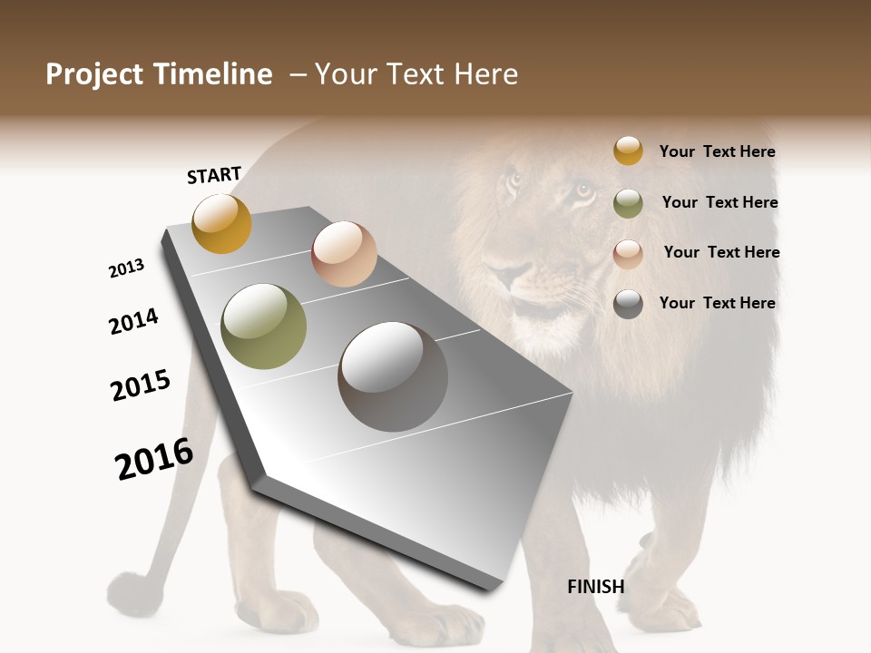 Animal Indoors One Animal PowerPoint Template