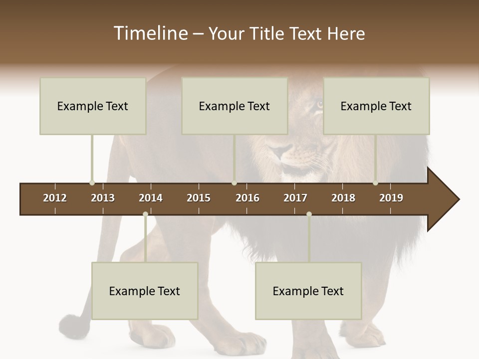 Animal Indoors One Animal PowerPoint Template