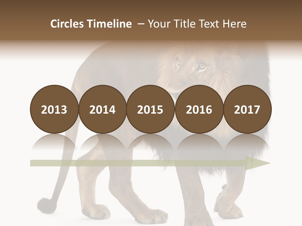 Animal Indoors One Animal PowerPoint Template