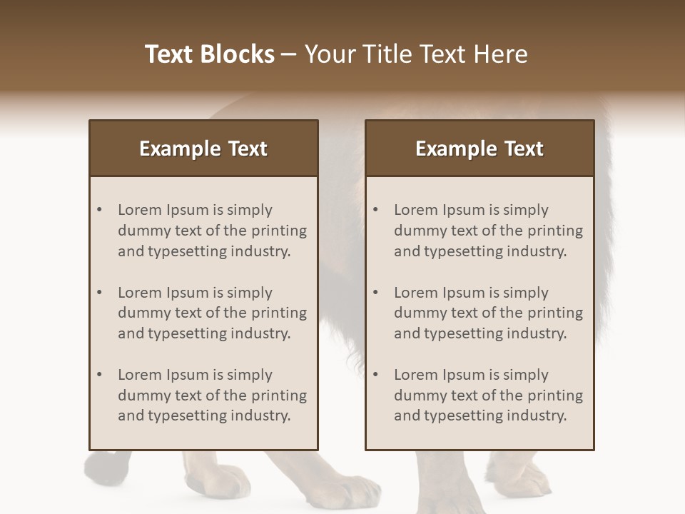 Animal Indoors One Animal PowerPoint Template