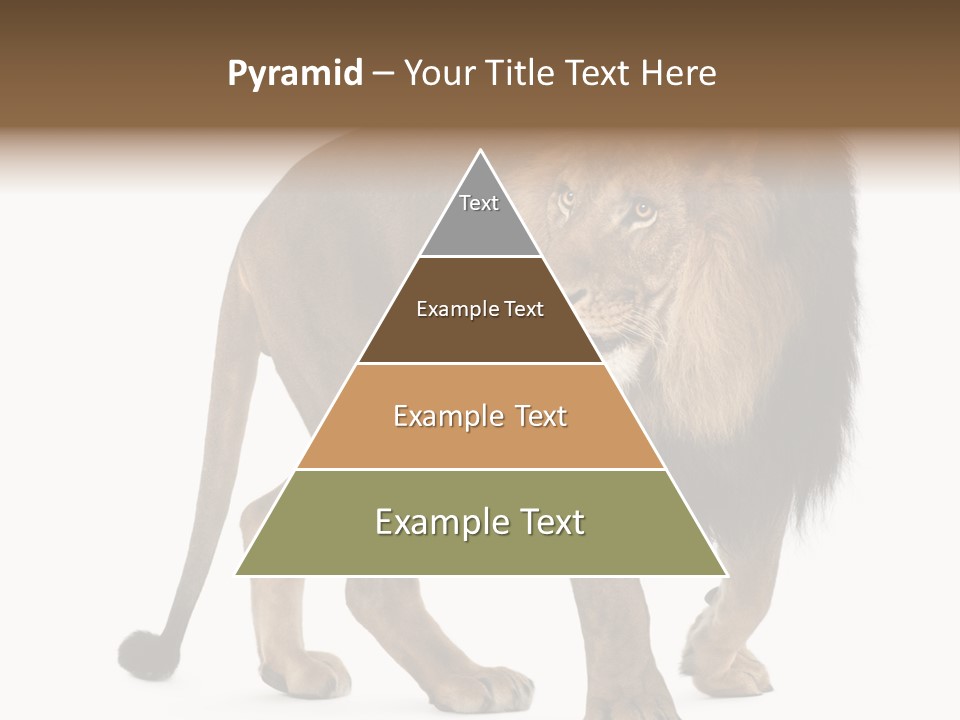 Animal Indoors One Animal PowerPoint Template