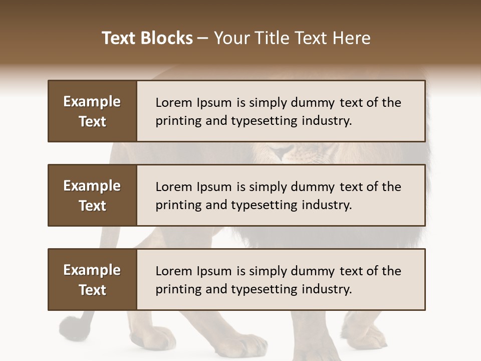 Animal Indoors One Animal PowerPoint Template