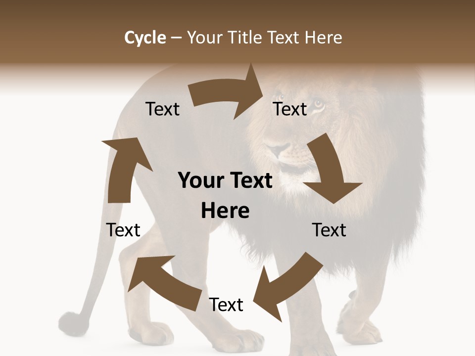 Animal Indoors One Animal PowerPoint Template