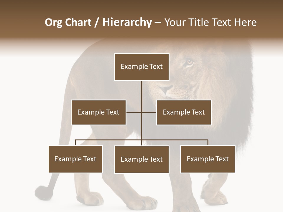 Animal Indoors One Animal PowerPoint Template