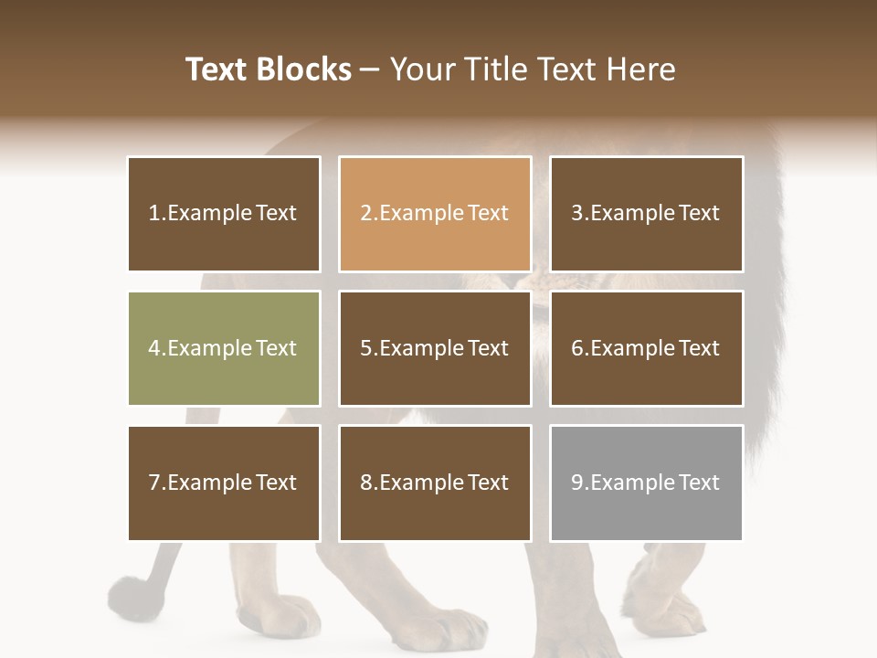 Animal Indoors One Animal PowerPoint Template