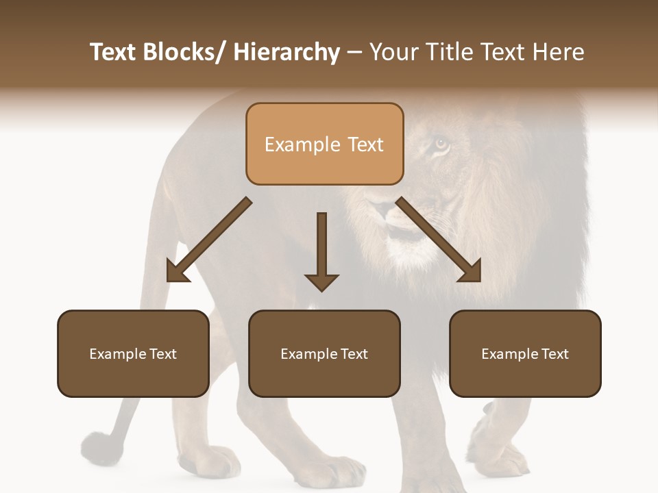 Animal Indoors One Animal PowerPoint Template