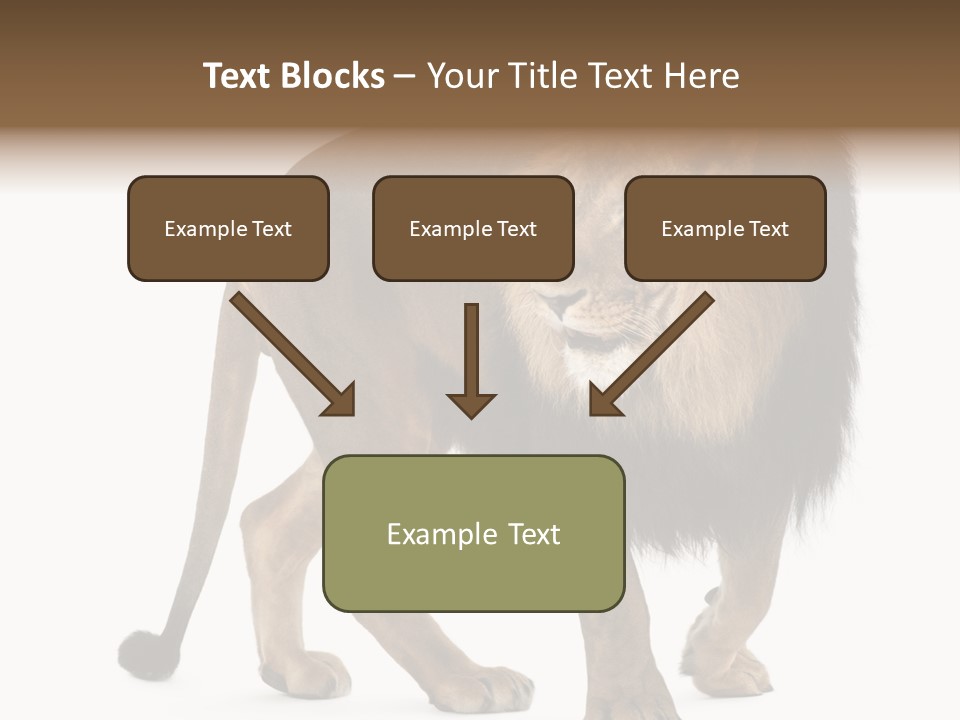 Animal Indoors One Animal PowerPoint Template