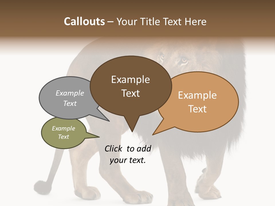 Animal Indoors One Animal PowerPoint Template