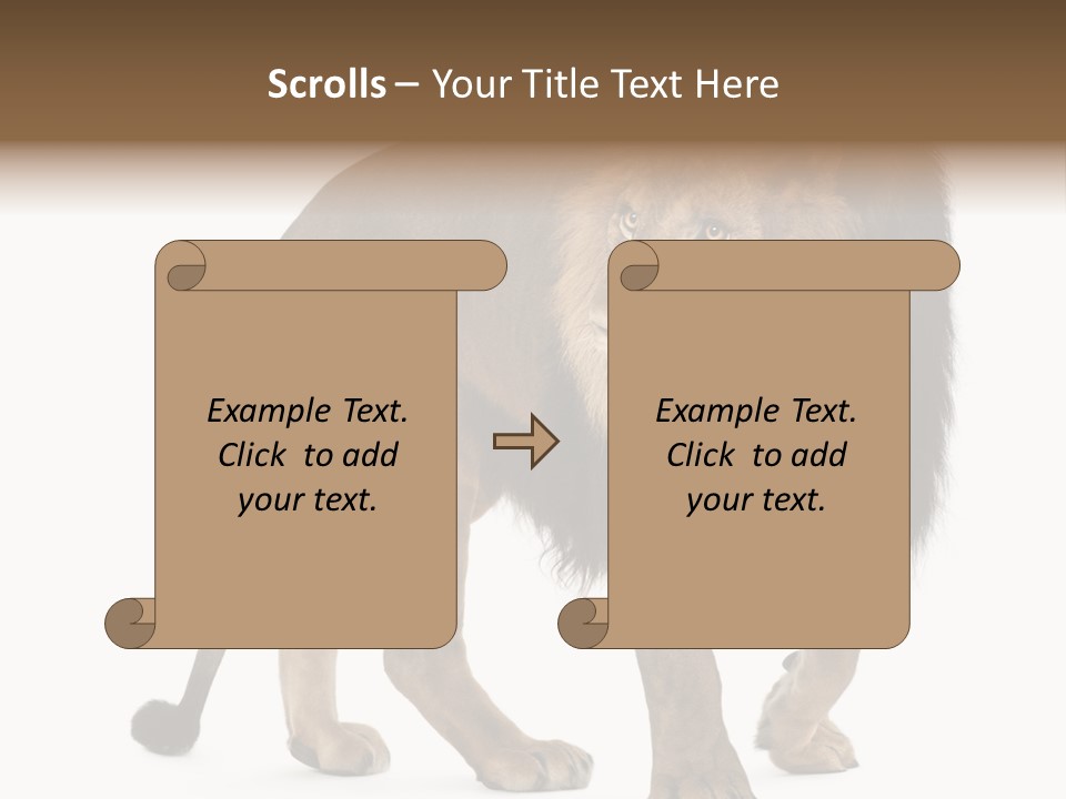Animal Indoors One Animal PowerPoint Template