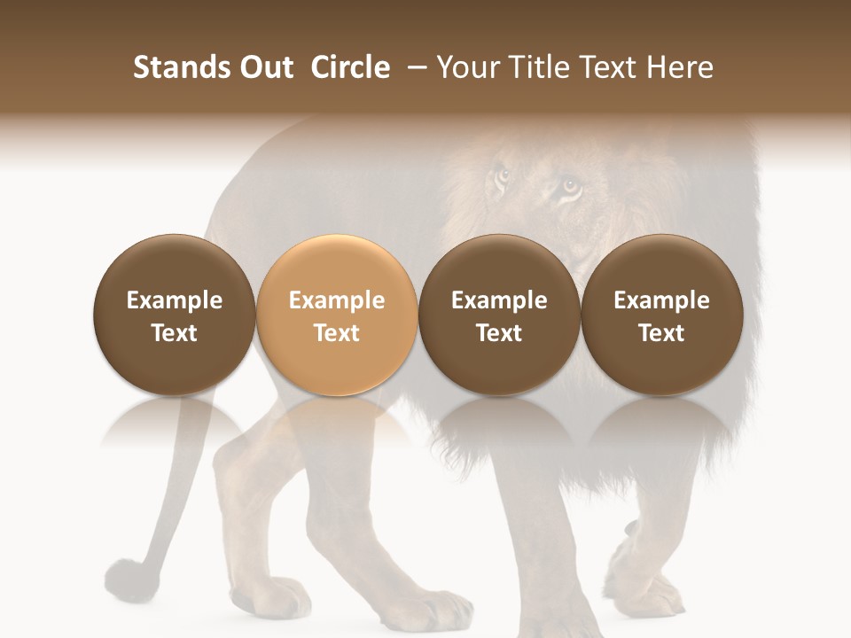 Animal Indoors One Animal PowerPoint Template