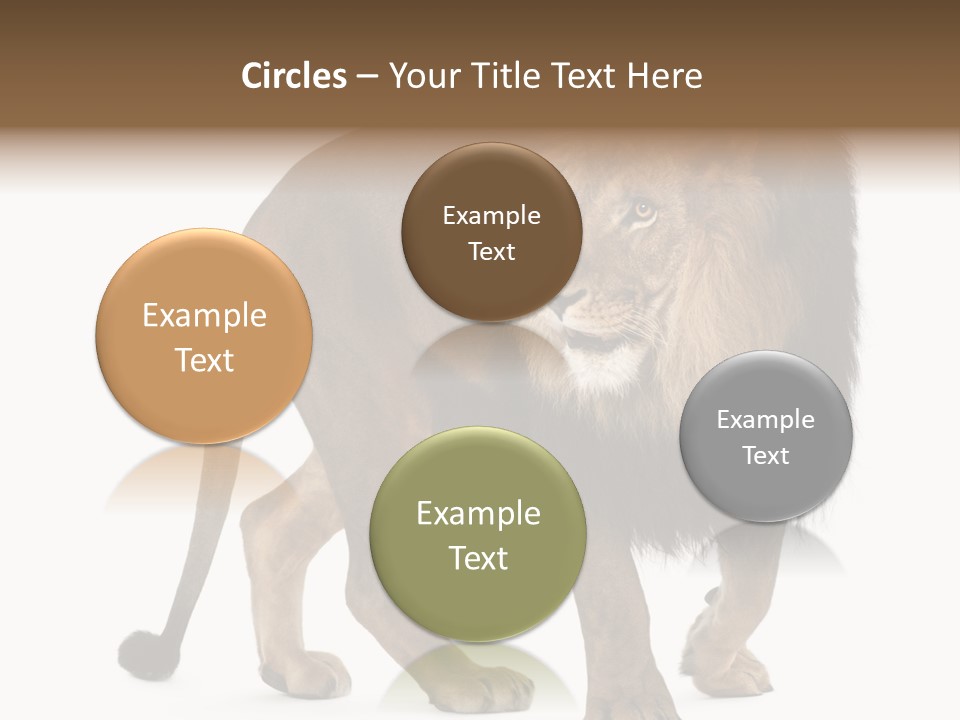 Animal Indoors One Animal PowerPoint Template