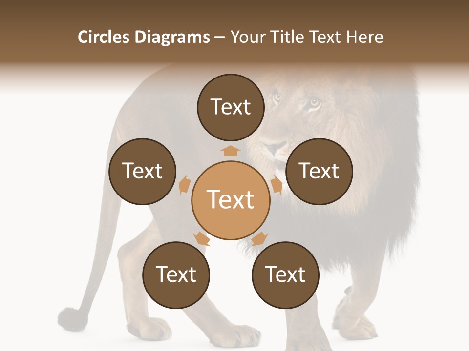 Animal Indoors One Animal PowerPoint Template