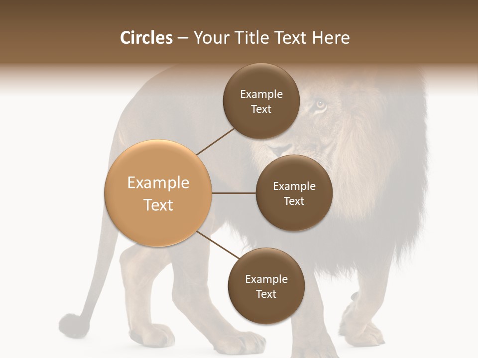 Animal Indoors One Animal PowerPoint Template