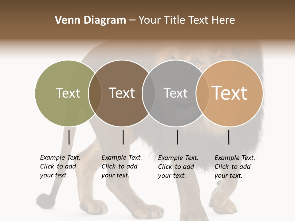 Animal Indoors One Animal PowerPoint Template