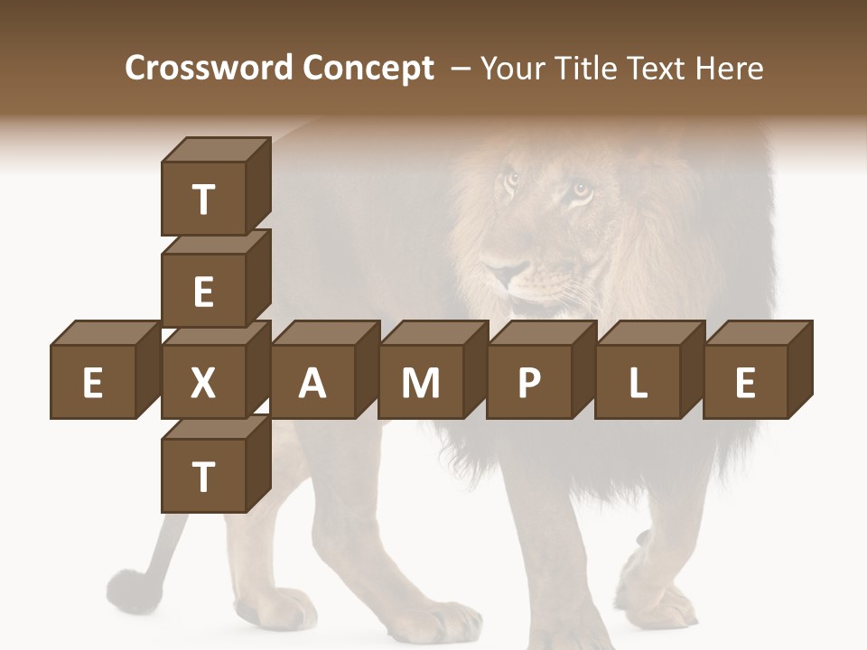 Animal Indoors One Animal PowerPoint Template