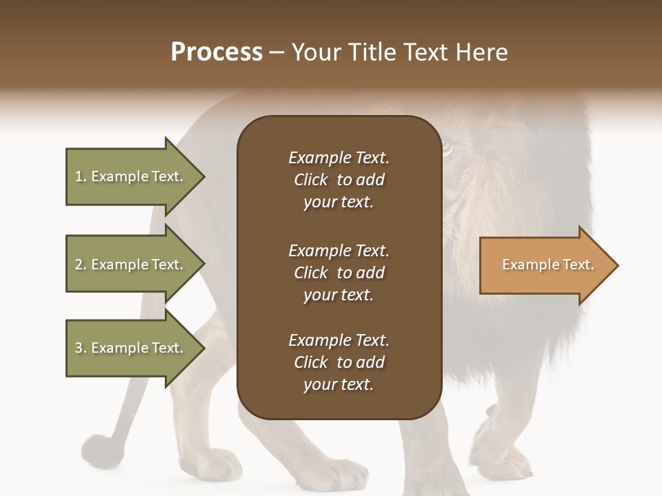 Animal Indoors One Animal PowerPoint Template