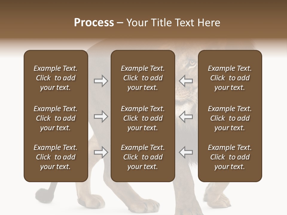 Animal Indoors One Animal PowerPoint Template